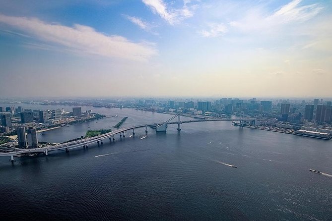 【10 mins】Tokyo Helicopter Tour + Private Car Pickup & Drop off - Private Car Pickup and Drop-Off: Less Time in Lines, More Time in Tokyo