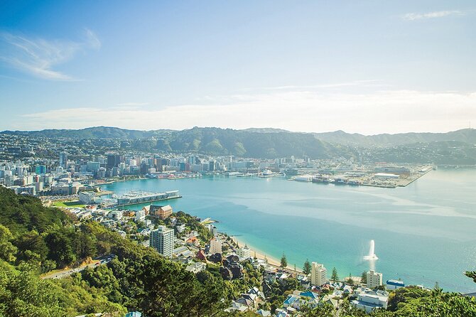 15-Minute Wellington Harbour Helicopter Flight - Pilot Commentary and Safety Briefing: The Human Part of the Flight
