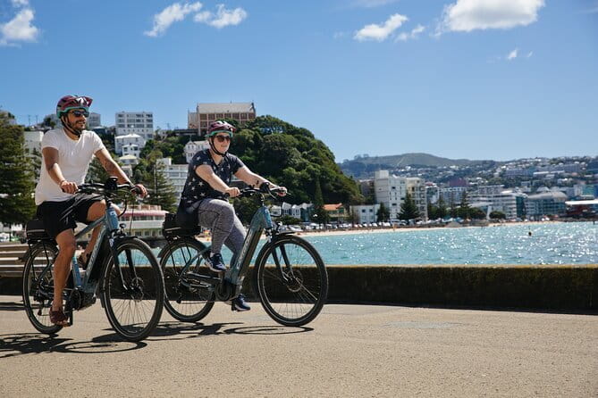 15-Minute Wellington Harbour Helicopter Flight - Weather, Cancellations, and the Real Plan B