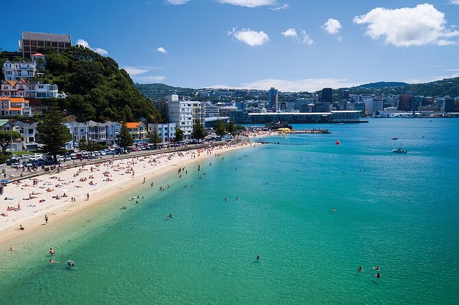 15-Minute Wellington Harbour Helicopter Flight - Photo Ops Without the Headache: How to Get the Best Angles