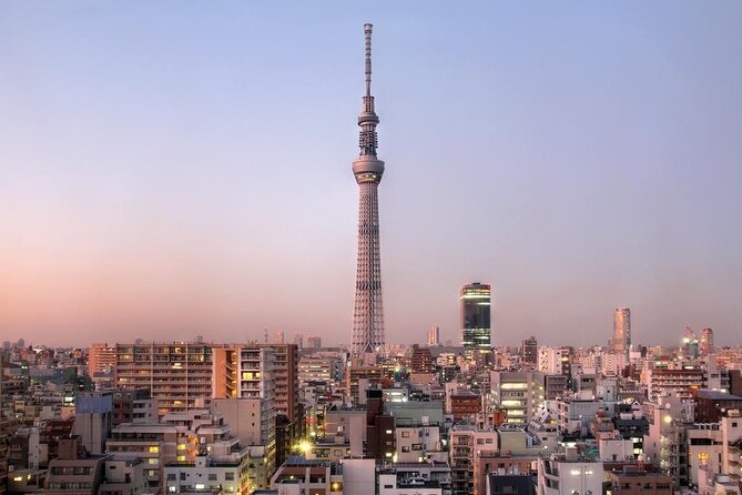 25-Min Downtown Helicopter Tour : Tokyo Skytree and Tokyo Tower - Key Highlights You’ll Actually Care About