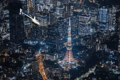 25-Min Downtown Helicopter Tour : Tokyo Skytree and Tokyo Tower - Who This Private Flight Works For (and Who Might Skip It)