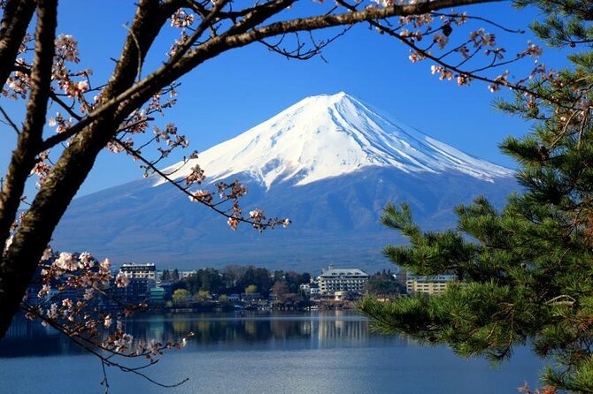 75-Min Mt. Fuji Half Day Private Helicopter Tour - Quick Take: Key Things You’ll Care About