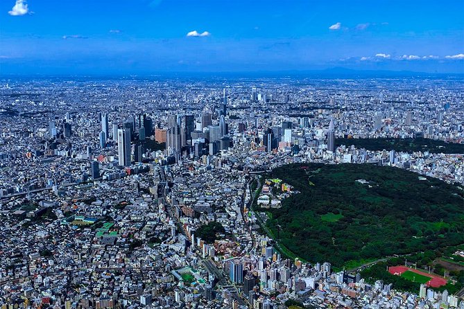 75-Min Mt. Fuji Half Day Private Helicopter Tour - Price and Value: How $4,573.73 Works in Real Life