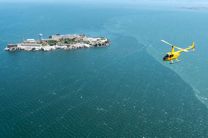 Alcatraz City Sites Helicopter Adventure - Bay Bridge and Pier Views: Sea Lions at Pier 39