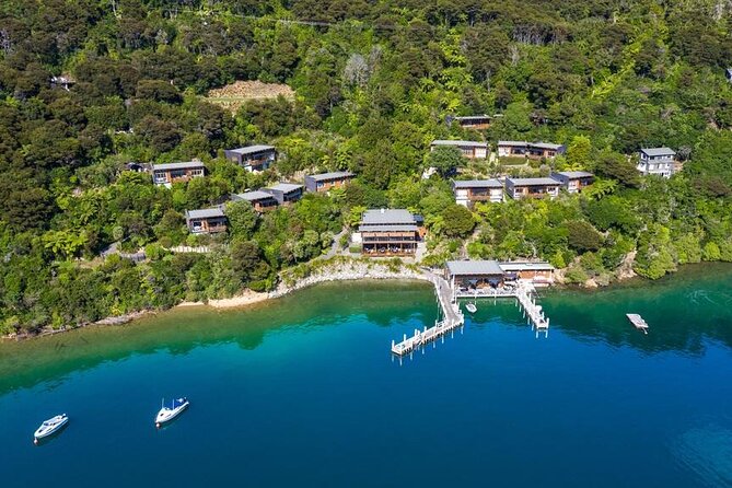 Bay of Many Coves, Marlborough Sounds- Heli-lunch from Wellington - Key Highlights You’ll Care About