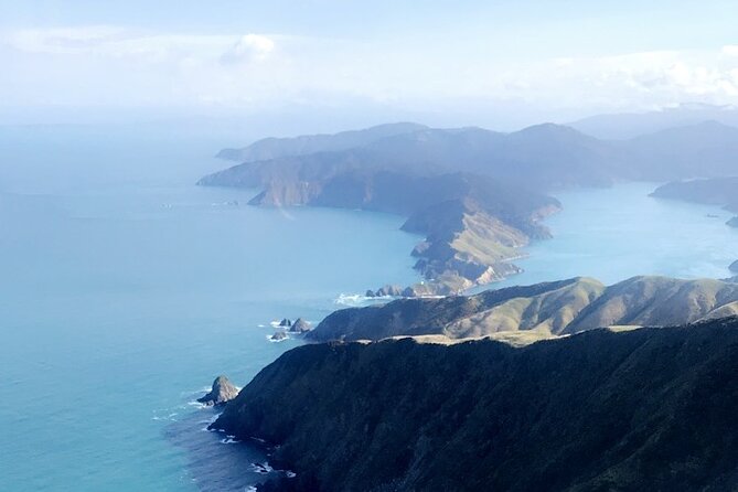Bay of Many Coves, Marlborough Sounds- Heli-lunch from Wellington - Bay of Many Coves Resort: Why This Lunch Location Matters