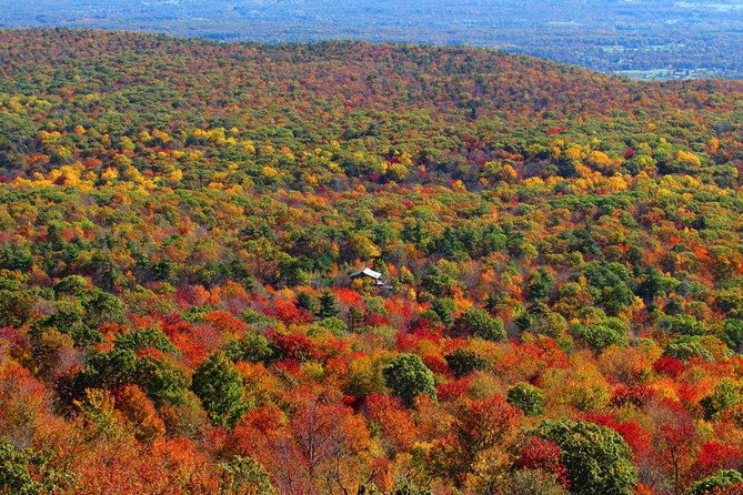 Couple's Private Hudson Valley Fall Foliage Helicopter Tour from Westchester - Stop-by-Stop: What You’ll See Over Kykuit, Bridges, and Beyond