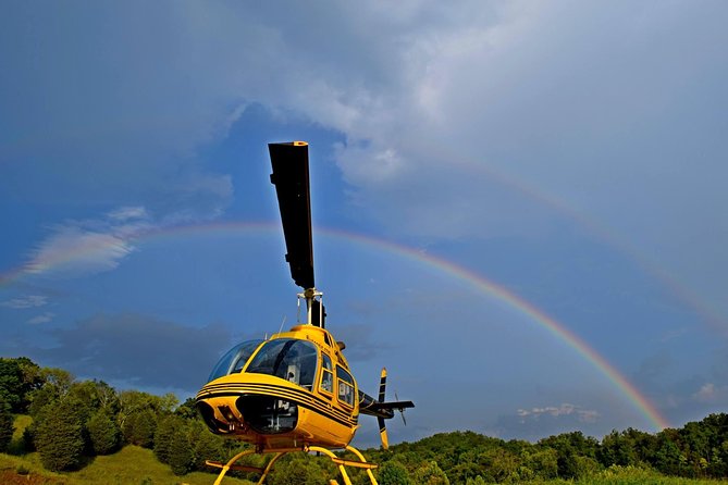 Douglas Lake View Scenic Helicopter Tour - Quick Take: Douglas Lake Views in Minutes