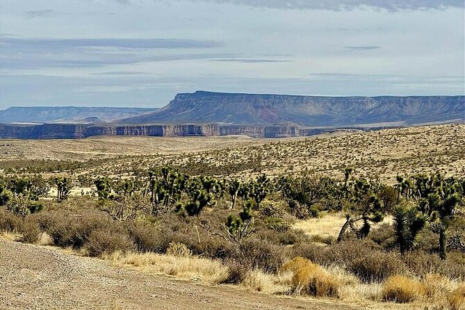 Grand Canyon Helicopter and Ranch Adventure by Luxury Vehicle - Grand Canyon Glamping Ranch: 80 Acres and a Timeout