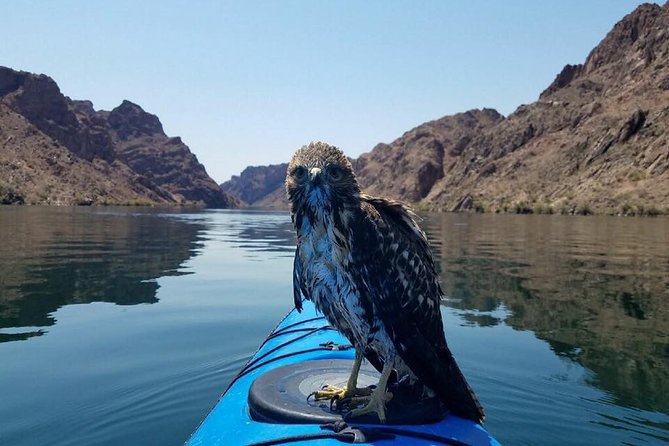 Grand Canyon Helicopter Flight with Emerald Cave Kayak Tour - Transportation and timing: why the day doesn’t fall apart