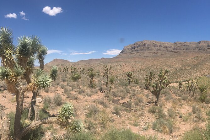 Grand Canyon Western Ranch Overnight Stay by Helicopter & Ground - Optional ranch add-ons: what costs extra and what they’re for