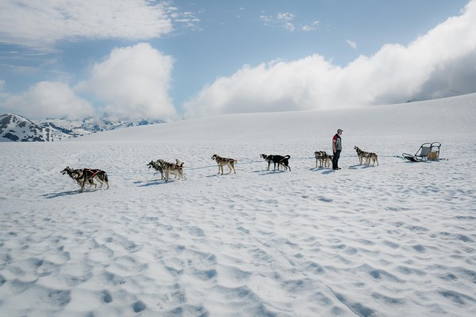 Helicopter Glacier & Dog Sledding Adventure Tour - Key things to know before you go