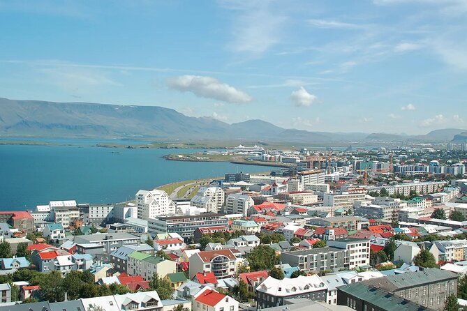 Helicopter tour from Reykjavik: Hengill Area with at site landing - Hellisheiðarvirkjun, Nesjavallavirkjun, and Bláfjöll: seeing energy systems from above