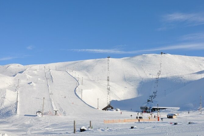 Helicopter tour from Reykjavik: Hengill Area with at site landing - Price and what you really get for $599.56