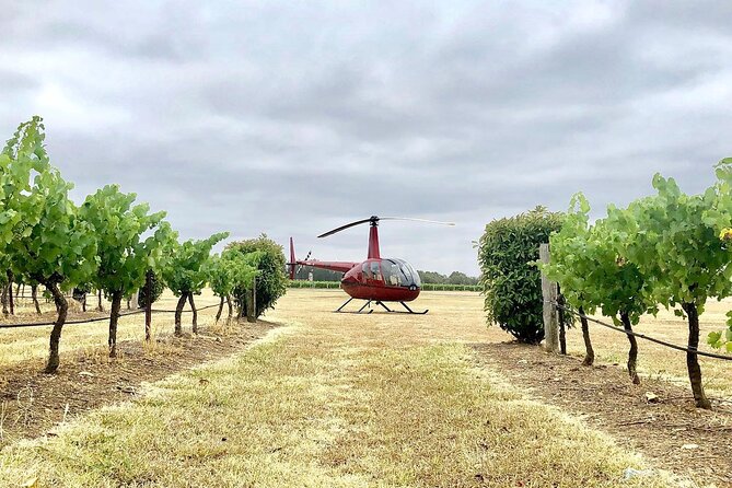 Hunter Valley Helicopter Tour with a Bubbly Breakfast - AEROlogistics Helicopters briefing: meeting the pilot and getting settled