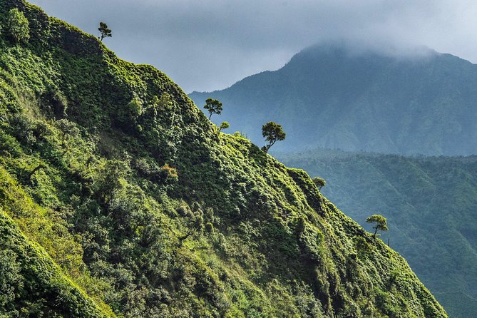 Kauai Eco Adventure Helicopter Tour - Weather-Permitting Peak: Mt. Waiʻaleʻale’s Emerald Mist and Waterfall Finish