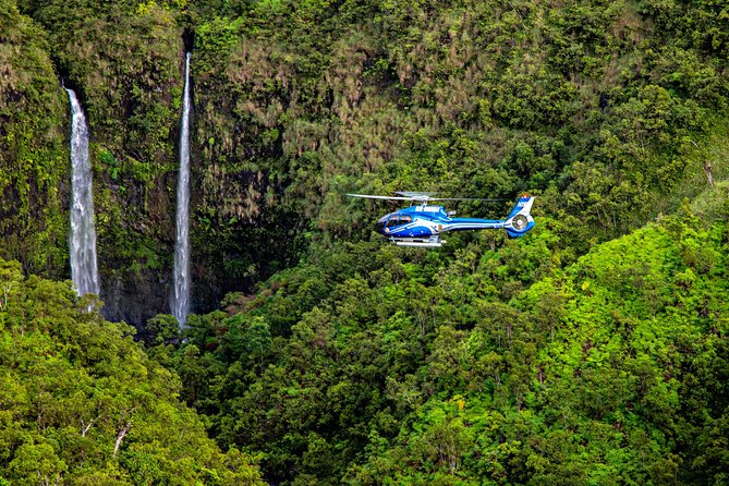 Kauai Eco Adventure Helicopter Tour - Flying Kauai’s “From Wet to Dry” Story: Nawiliwili, Kapa’a, and the South Pacific Pier