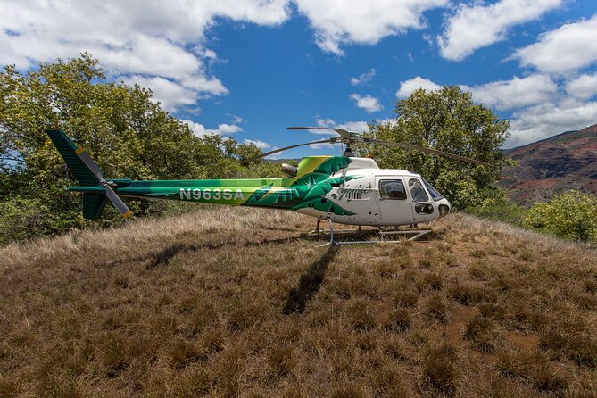 Kauai' Exclusive Helicopter Tour: Land & Explore Olokele Canyon - What you’ll actually do during the Olokele Canyon land & explore time