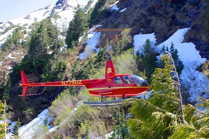 Ketchikan Helicopter Tour, Mahoney Falls - Key things to know before you go