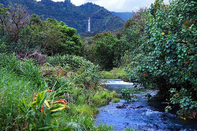 Luxury Helicopter Experience with Hana Rainforest Landing - ECO-130 comfort, weight limits, and what they mean for you