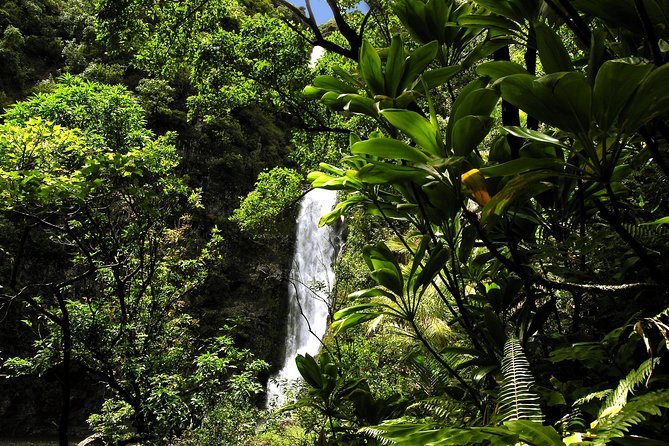 Maui: Road to Hana Luxury Limo-Van Tour with Helicopter Flight - Who Should Book This Hana Road-and-Sky Combo