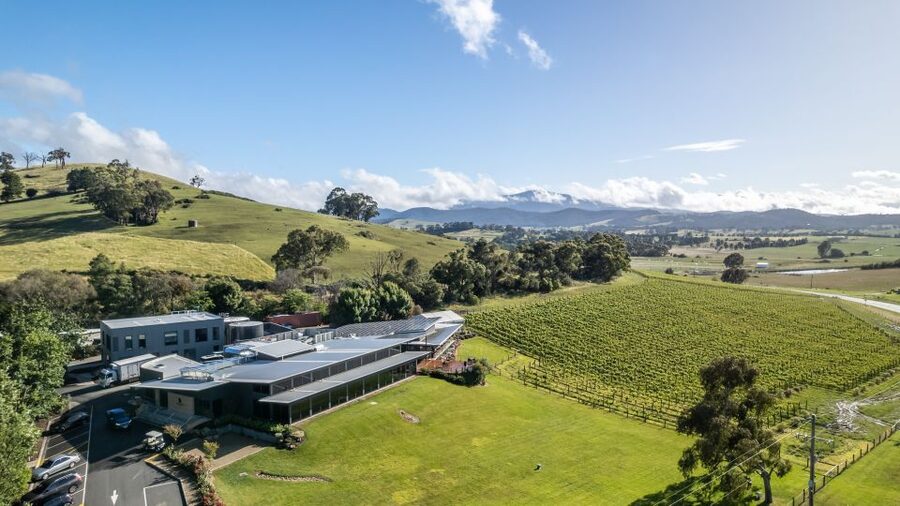 Melbourne: Private Yarra Valley Winery Lunch by Helicopter - Arriving at Balgownie Estate: Wine Tasting Starts Right Away