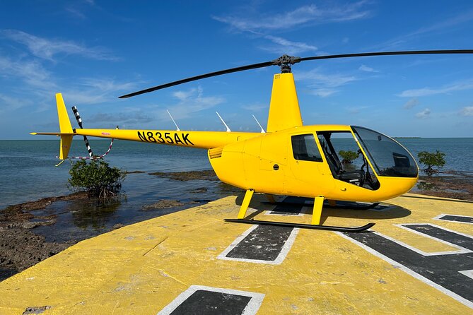 Miami Sightseeing Helicopter Tour Ride things to do Miami Beach - Wynwood, the mall area, and Hard Rock lights at night