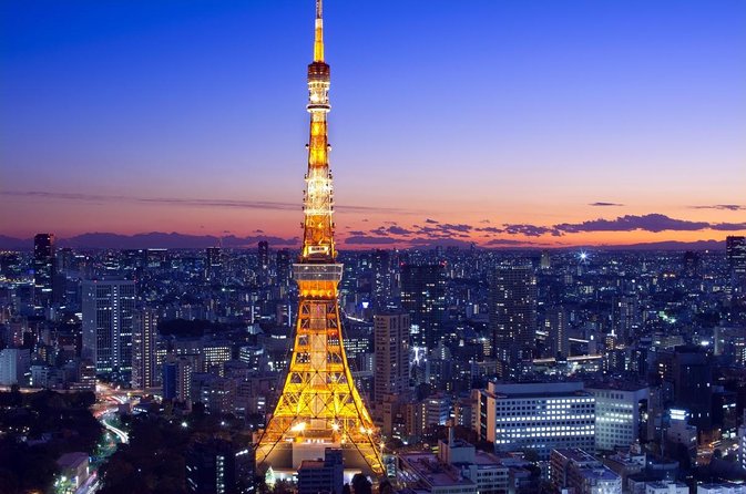Mt. Fuji & Tokyo Helicopter Tour【90 mins】 : Close to Mt.Fuji! - Key Points to Know Before You Go