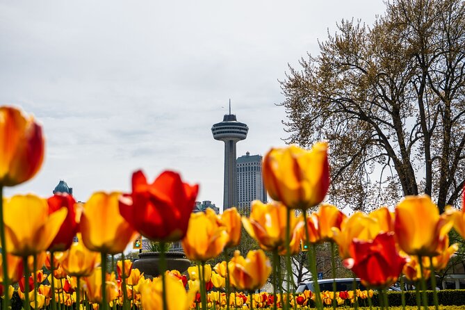 Niagara Falls Canada: Helicopter + Boat + Lunch & more US Pick-up - Passing historic Niagara River parkland with a guide story