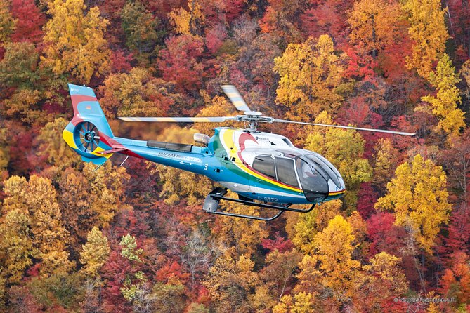 Niagara Falls Canada Helicopter Tour - Beyond the falls: Whirlpool Rapids, the Niagara River, and Rainbow Bridge