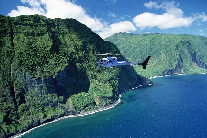 Oceanfront Landing 75-Minute Event Helicopter Tour - The flight design: six forward-facing seats and 180-degree sightlines