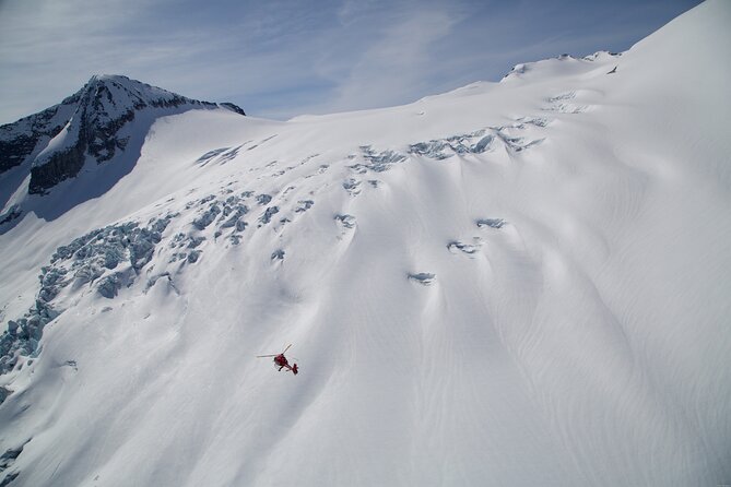 Private Whistler Helicopter Tour + Mountain Landing - Price and Duration: What You’re Really Paying For