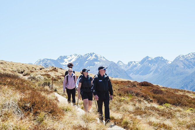 Scenic Helicopter & Kepler Guided Hike from Te Anau with Lunch - Price and Value: What You’re Actually Paying For