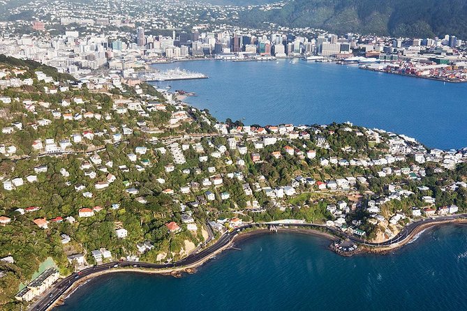 Scenic Wellington Helicopter Flight - Price and Logistics: What $108.60 Buys You in Wellington