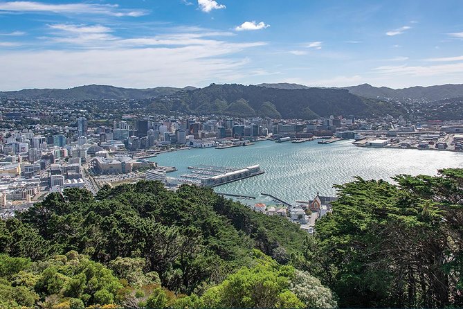 Scenic Wellington Helicopter Flight - Museum of New Zealand and the Cultural District Perspective