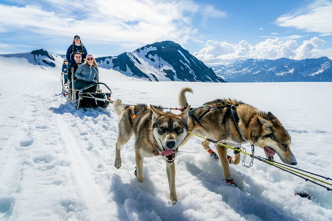 Seward: Helicopter Glacier Dogsled Tour with 2 Landings - Key things that make this Seward glacier day different