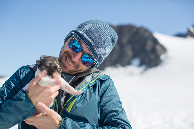 Seward: Helicopter Glacier Dogsled Tour with 2 Landings - The timing on the day: two landings, one long dog stop, and where the time goes