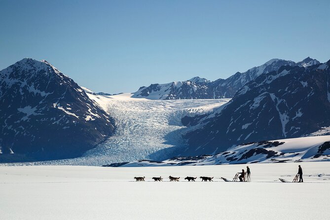 Seward: Helicopter Glacier Dogsled Tour with 2 Landings - Practical logistics that make or break your day