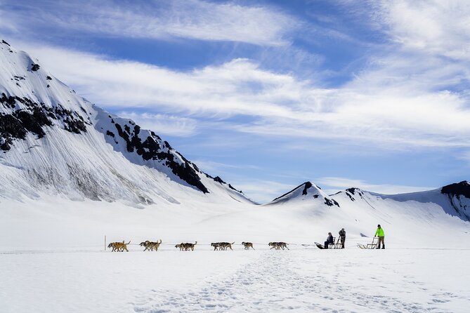 Seward: Helicopter Glacier Dogsled Tour with 2 Landings - Who should book this and who should rethink it