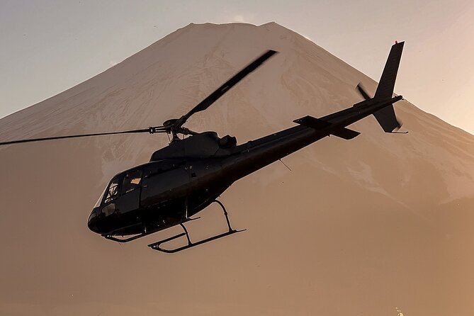 【TOKYO→FUJI】 Helicopter Oneway Transfer 35mins - A 35-minute jump from Tokyo to the Fuji area