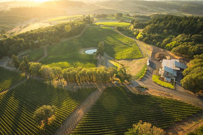 Tour DeVine by Heli - Helicopter Wine Tour - Key Takeaways (Quick Hits)