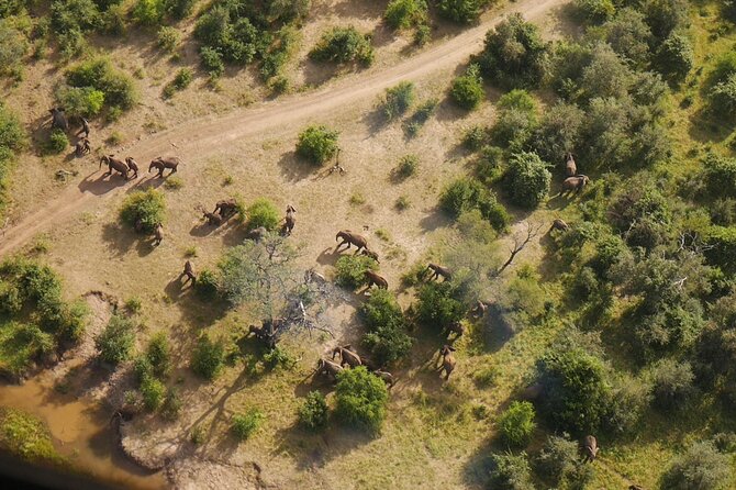 Victoria Falls Helicopter Tour - 15-minute scenic vs 25-minute game flight: choosing your best match