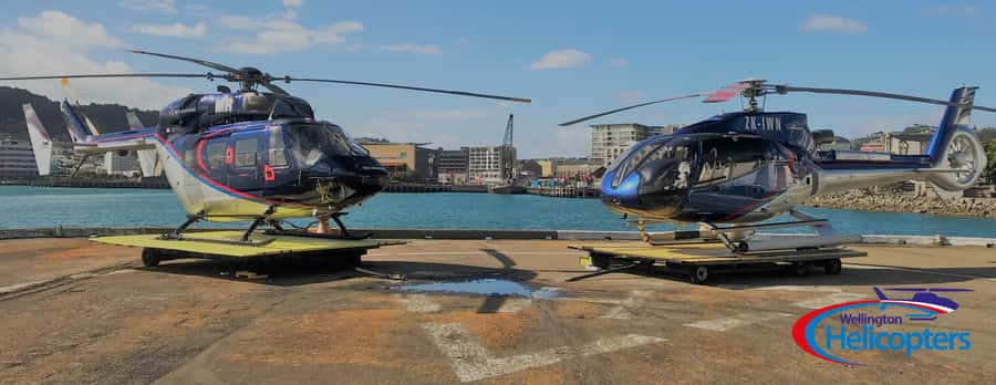 Wellington Helicopter Scenic Flight - Key things you’ll notice on this Wellington helicopter flight