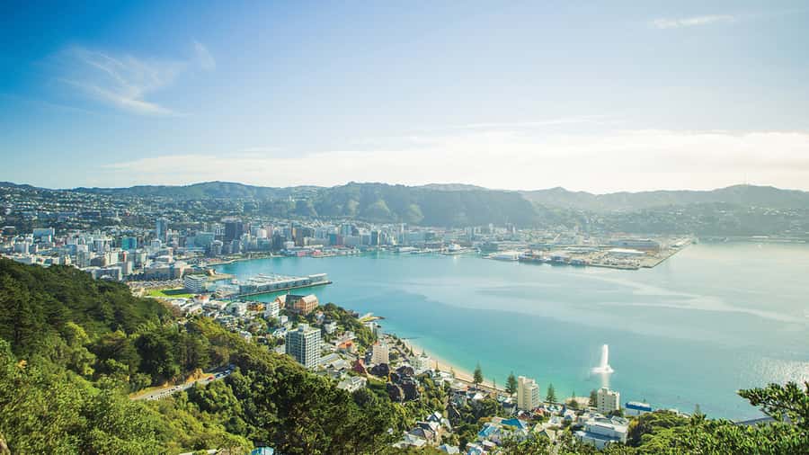 Wellington Helicopters Scenic Harbour Flight - Key highlights you’ll care about