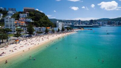 Wellington Helicopters Scenic Harbour Flight - From lift-off to landing: what you can expect during the flight