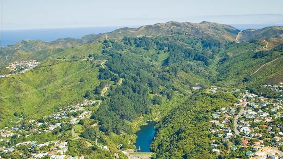 Wellington Helicopters Scenic Harbour Flight - Cook Strait might show up, but don’t bet your day on it