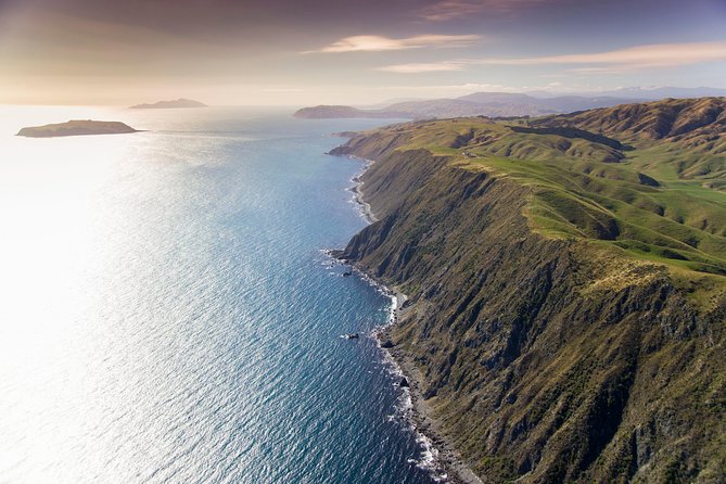 Wellington South Coast Discovery Helicopter Flight - Why the Wellington South Coast by helicopter beats a long day