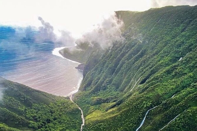 West Maui and Molokai 60-Minute Helicopter Tour - Molokai’s tallest sea cliffs: the aerial finale you’ll remember