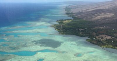 West Maui and Molokai Special 45-Minute Helicopter Tour - West Maui North Shore: rainforest, coastline, and the “hidden water” angle
